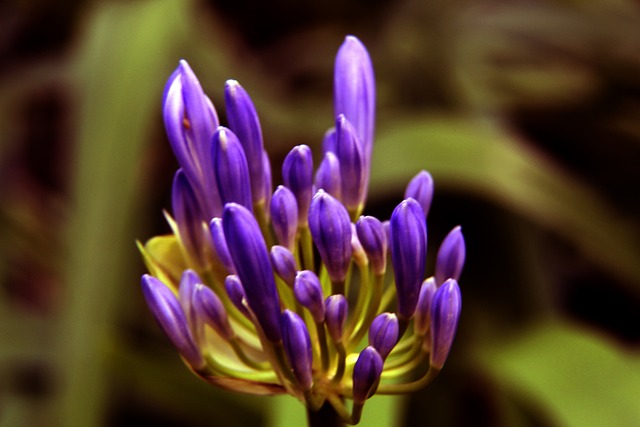 将在英超的 将在英超的