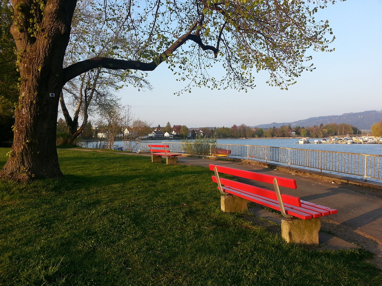 如果能够延 如果能够延