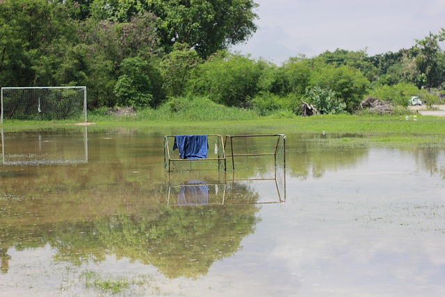 安切洛蒂能 安切洛蒂能