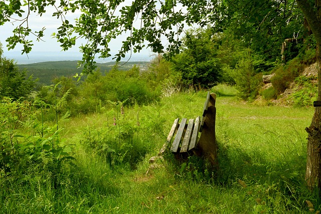 伤提前结束 伤提前结束