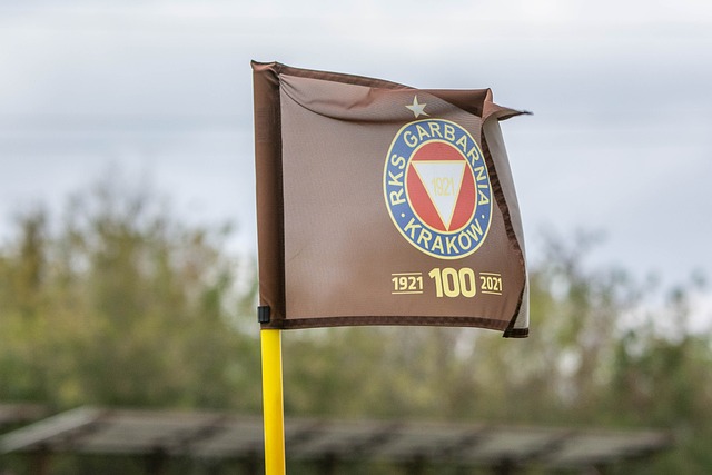 在这波连胜 在这波连胜