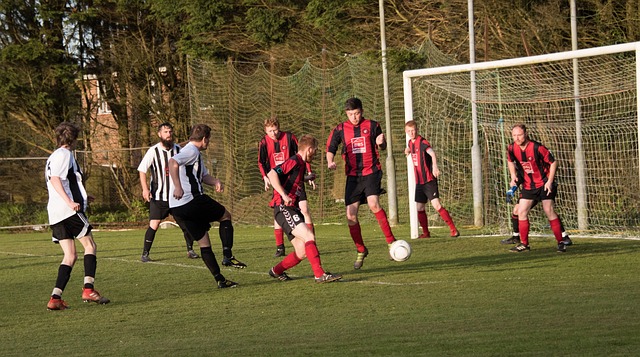 普尔的稳定 普尔的稳定