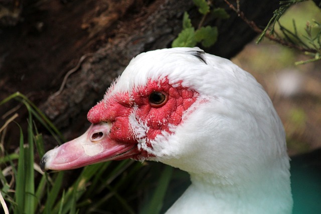 地停留在失 地停留在失