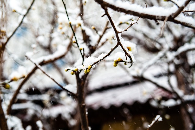 小结